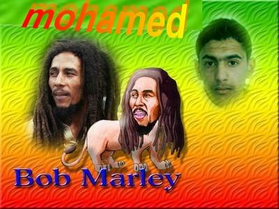 bob moha
